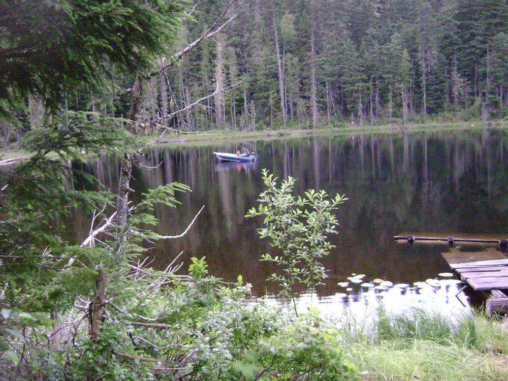Blue River Cabins & Campgrounds Exteriör bild